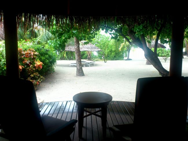 コテージの窓から。<br />隣のコテージとのパーティションはありませんが、心地よいです。