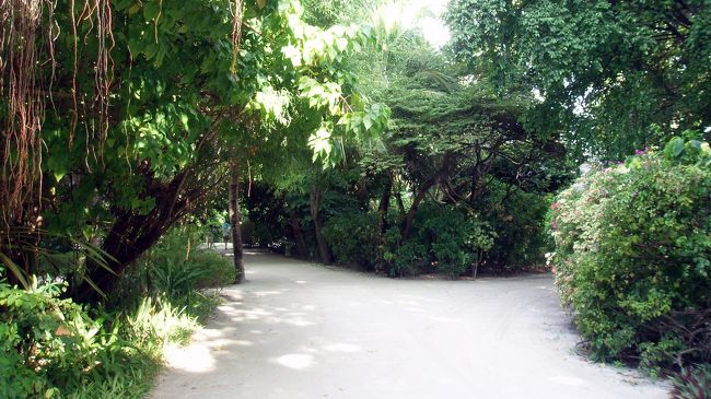 メイン棟から部屋までの移動は、遠い方はカートを利用できます。<br />ただし、スタートポイントは桟橋のあるアライバル糖、ビジネスラウンジなどがあるメイン棟です。部屋からの移動の時は電話でお願いしましょう。