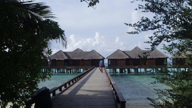 ほらね・・・水上コテージが美しく並んでいます♪