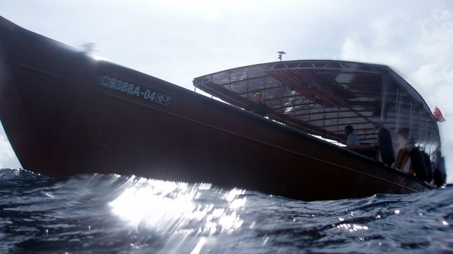 ダイビングボートです。<br /><br />私たちの滞在中は、残念ながら日本人はいませんでした（宿泊者にもいませんでした）。色々な国の方たちと同行でした。