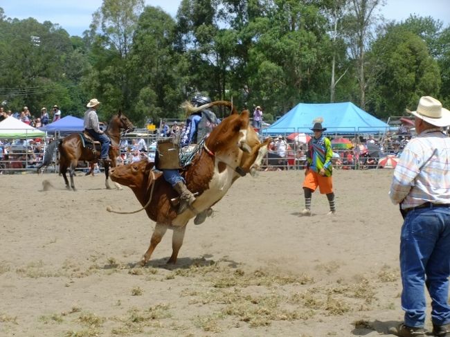 オーストラリアでロデオを見ました Rodeo Near Sydney ニューサウスウェールズ州 オーストラリア の旅行記 ブログ By ノーーウォリーズさん フォートラベル オーストラリアでロデオを見ました Rodeo Near Sydney ニューサウスウェールズ州 オーストラリア の旅行記 ブログ By ノーーウォリーズさん フォートラベル