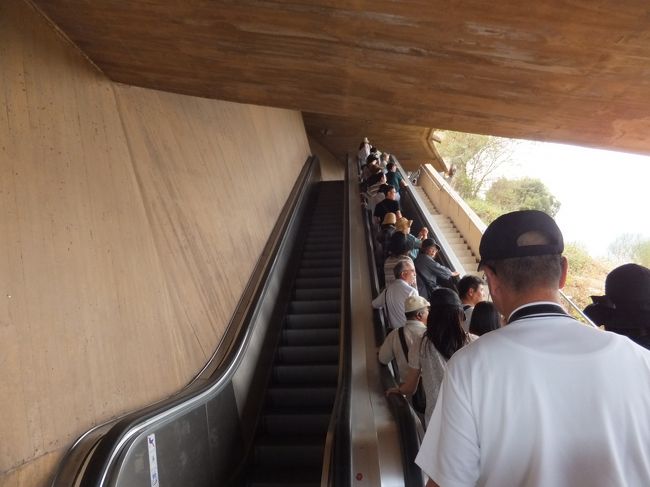 エスカレーターで上がるのに、ちょっと驚きました。