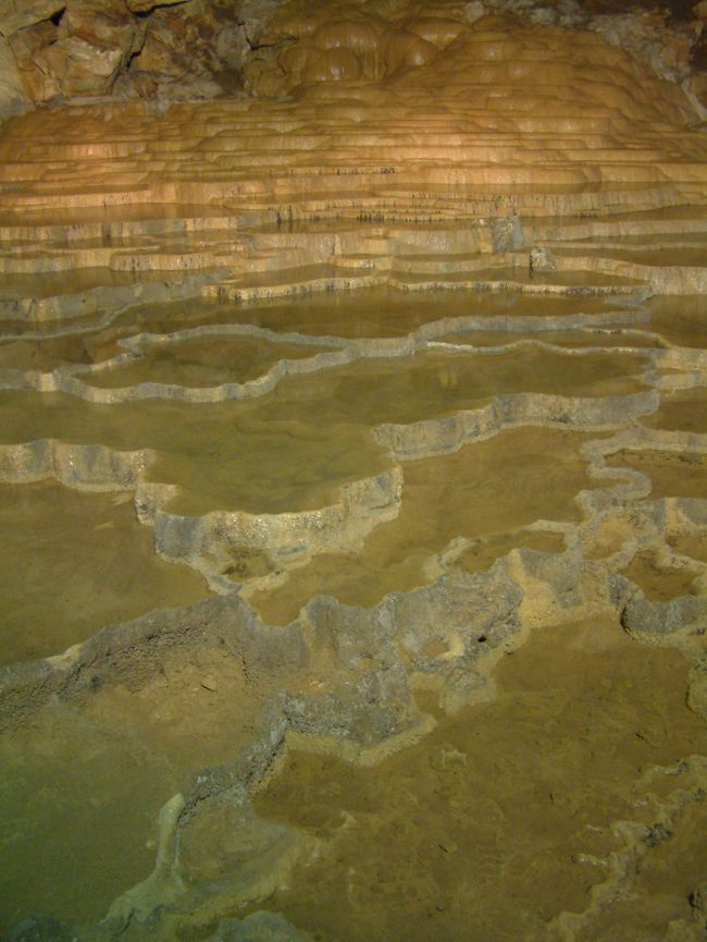 翌朝。<br />名洞秋芳洞へ。<br /><br />古くから観光開発された本邦随一の大鍾乳洞だ。<br /><br />ここの入口の通りに面したお土産屋が面白い。<br />化石や鉱石の露店が多く建ち並んでいる。<br /><br />写真は秋芳洞の名景百枚皿。<br /><br />