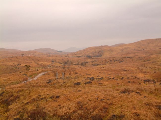 枯野が続いている。<br />草に隠れてわからないが、そこかしこに穴が開いており、誤って落ちれば二度と戻れないという。