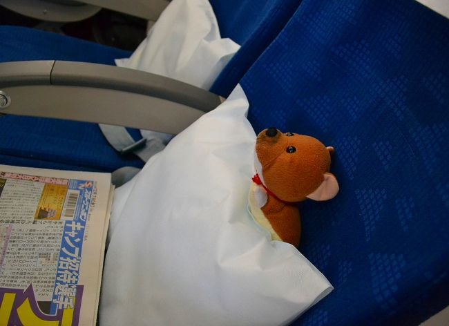 エコノミーでもファーストクラスの気分だワン！！