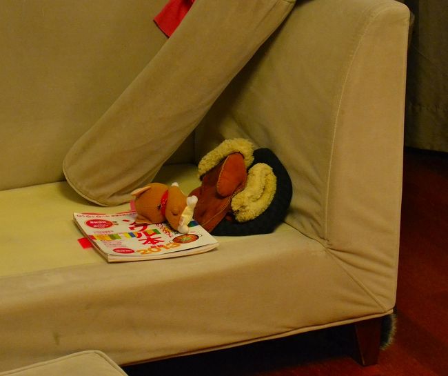 楽しいワン！！楽しすぎるワン！！