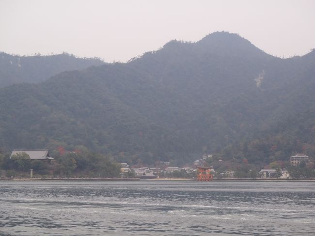 鳥居が見えてきました。