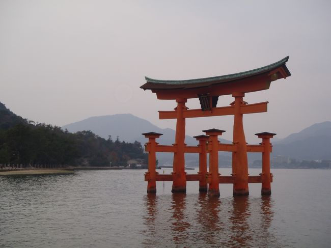 鳥居が見えてきました。<br />ここは写真撮影スポットでたくさんの方が記念撮影をされていました。