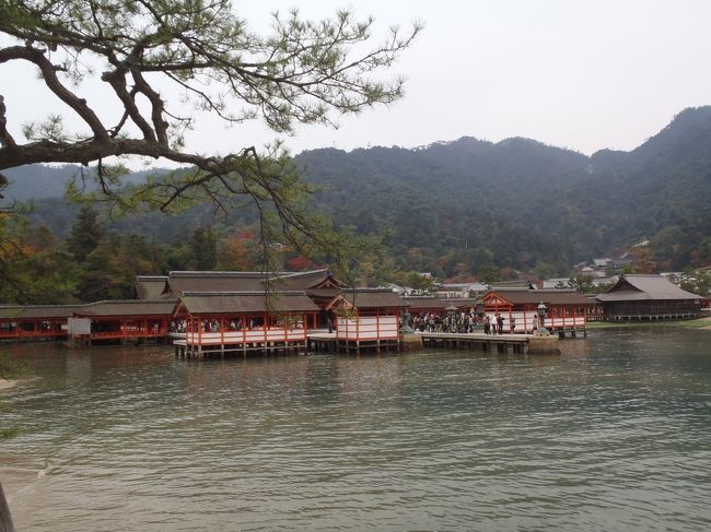 厳島神社の全景。