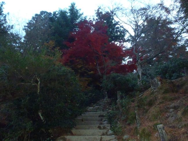厳島神社の後は少し足を伸ばして紅葉谷公園へ。<br />