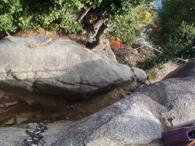 荷物が邪魔でしたがどうにかよじ登りました。