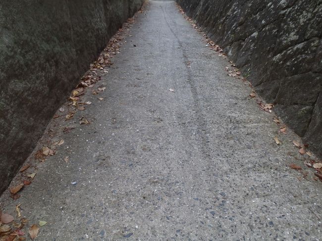 猫の細道。よく見ると猫の足跡が。