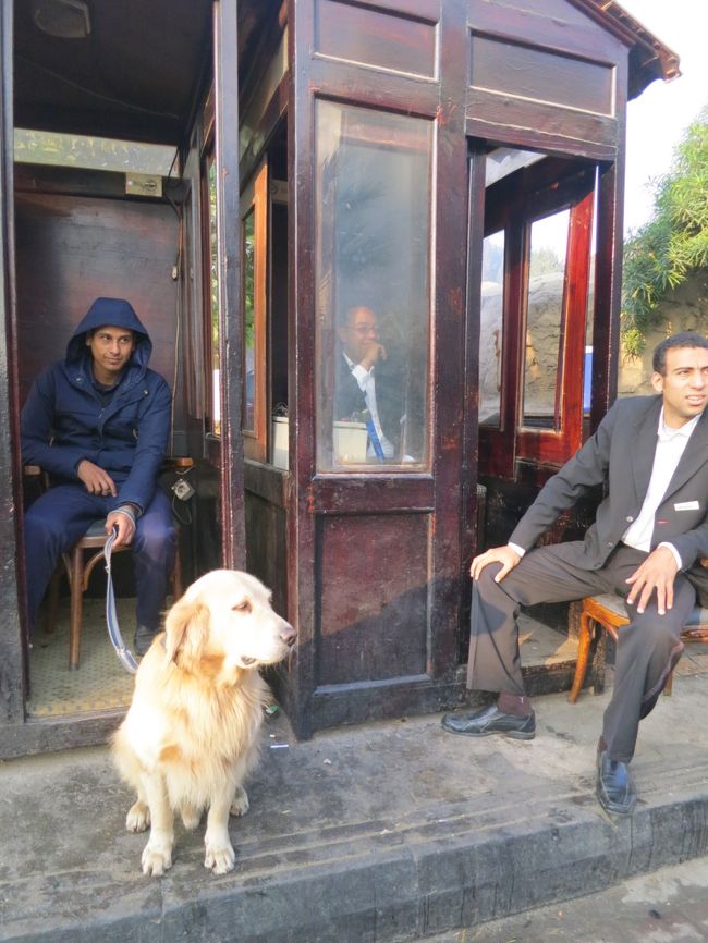 チェックアウト後、バスに乗る前に会いに行き撫でさせてもらった。<br /><br />まだ若いのか、すぐに遊ぼうと前足をパタパタ。<br /><br />今日もお仕事頑張ってね。<br /><br />ばいばい。