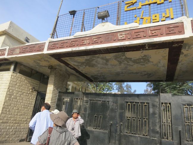 入口には、エサをもらっていると思われる猫がたくさんいました。<br />