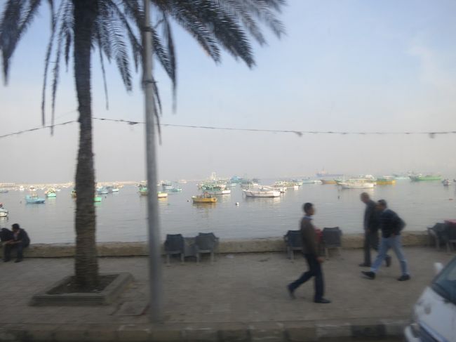 海が近いので、砂っぽさはありません。<br /><br /><br />海沿いにはゴミも少ないです。<br /><br />でも、一本裏の通りにはいるとゴミだらけ。<br /><br />なんとかしてよ、エジプト。<br /><br /><br />次は、アレキサンドリア空港から帰国です。<br />