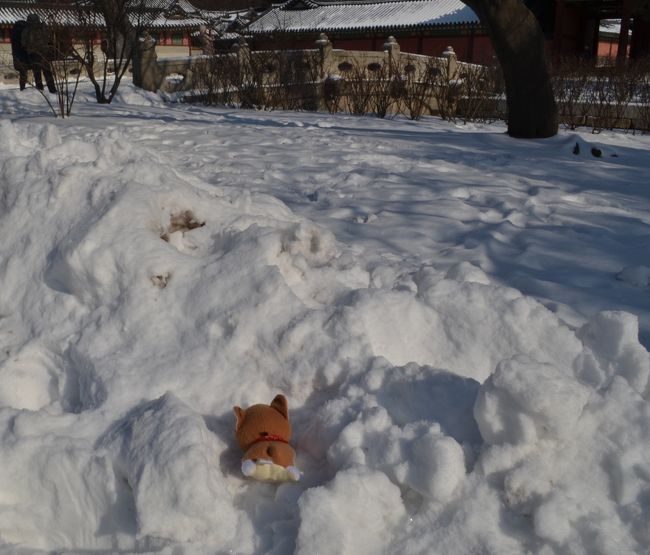 雪だぁ！！<br /><br /><br />楽しい！！