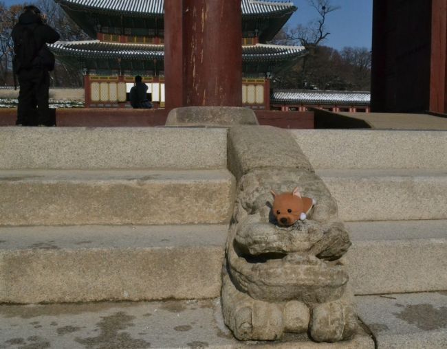 石の上はひんやりしているワン。