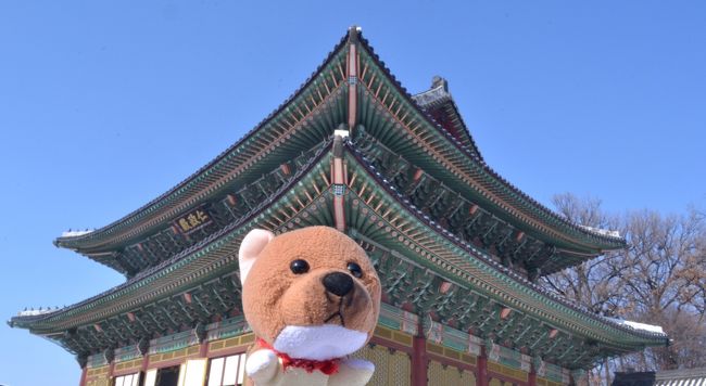 「ぼくも写して〜」