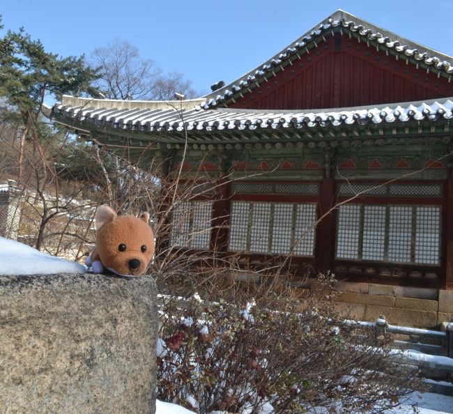 いっぱい歩いたら、飲みたくなってきたぞ。