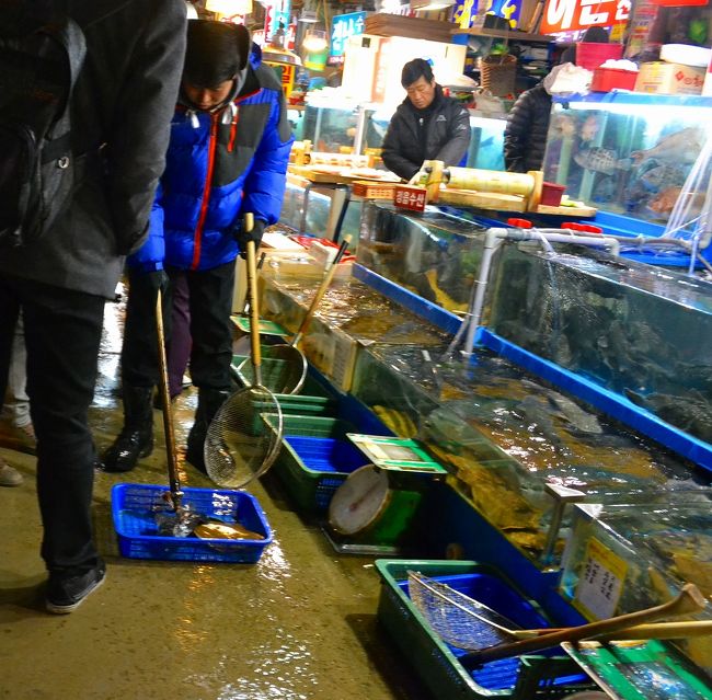 活きている魚を叩く！！