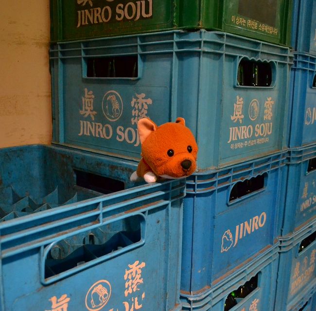 わくわくしてきたワン！！