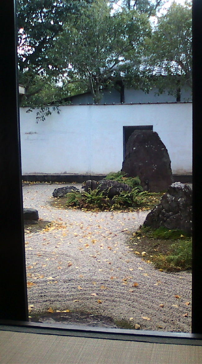 お店の席から見たお庭の景色。<br />枯山水的な…