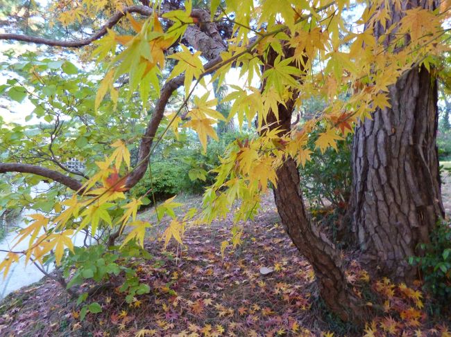 散策６０分コース<br />目についたものいろいろ