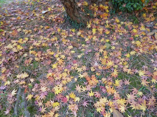 落ち葉スタンプ