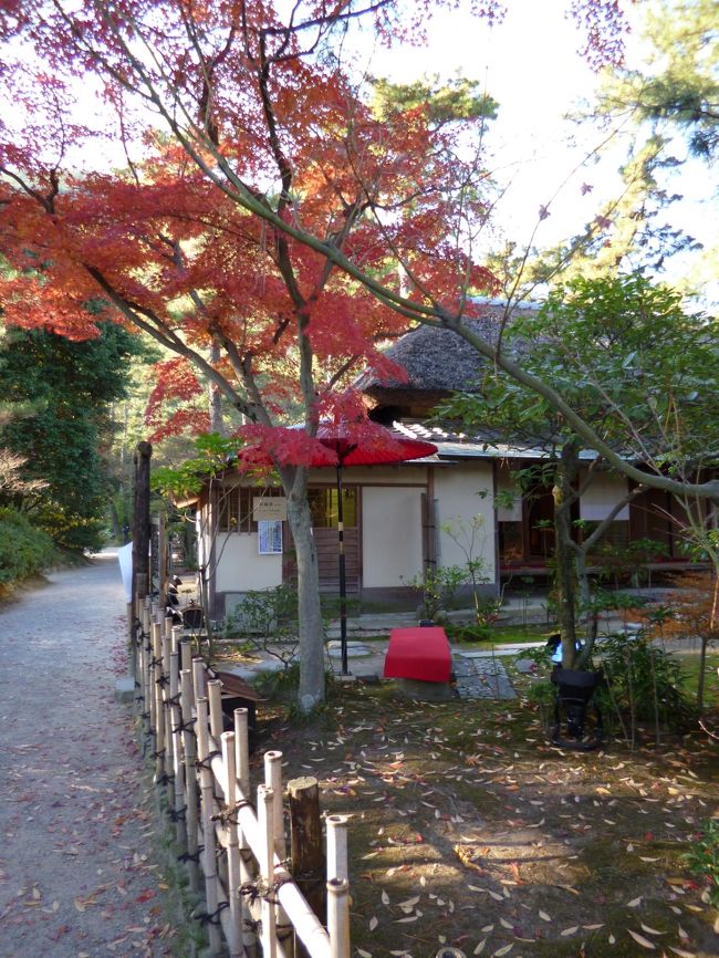 紅葉越しの茶屋