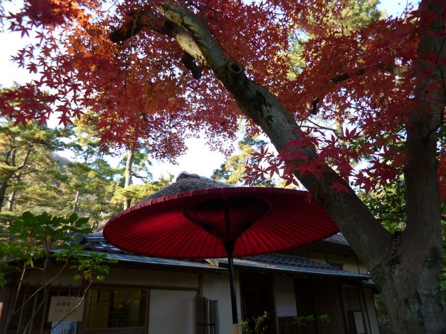 茶屋の赤い傘と紅葉