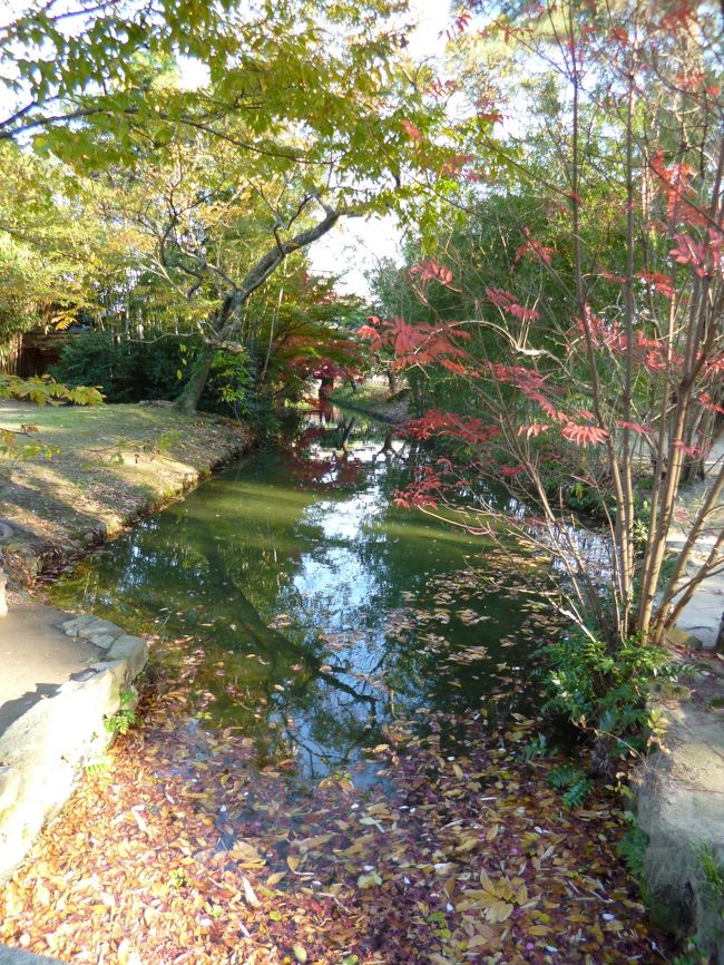 紅葉のトンネル