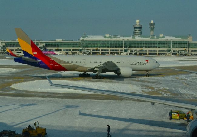 アシアナ航空のデザインもおしゃれで好きなんだけどね。