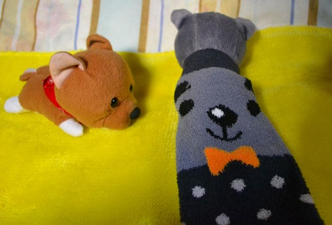 東大門で買った靴下は、はすゑの寝袋に・・・。<br /><br />ヘビみたいになっちゃった。。。