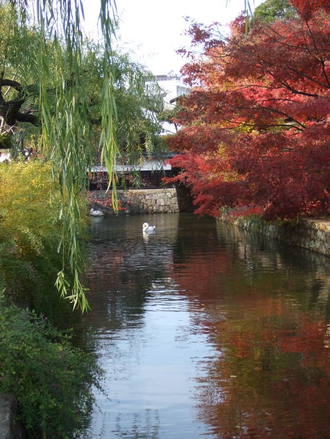 美しい紅葉と落ち着いた街の雰囲気に、<br /><br />「うっとり。」