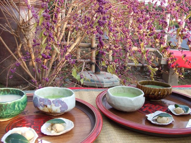 園内の茶屋で抹茶ときび団子の一服。