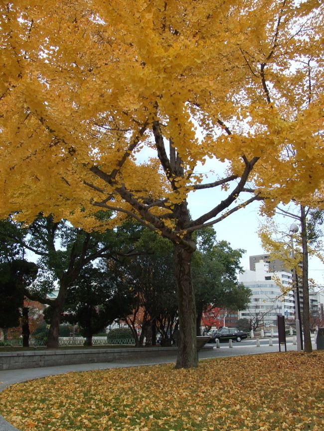 平和記念公園のイチョウ。<br /><br />「こうして紅葉を眺められることがありがたく感じる。」