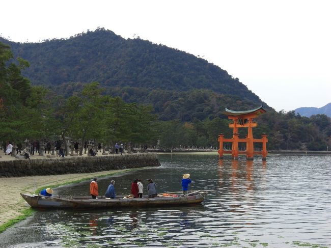 鹿とのんびりまったり〜。<br />海沿いを歩いて、厳島神社に到着。