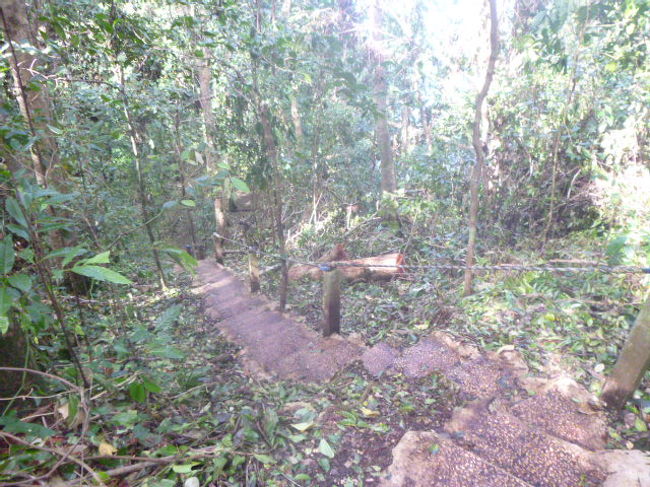 ジェリーフィッシュレイクに到着。<br />マリンブーツに履き替え、スノーケルセットを背負い、ちょっとした山道を歩く。<br /><br />「えっちらおっちら、桟橋に到着〜。」