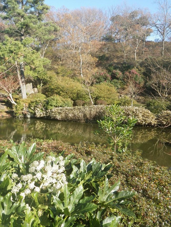 俳句でもひねりだしたくなりますが、あいにく素養がありません−−−。