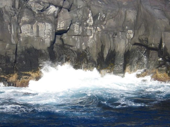 繰り返し押し寄せる波を見ていると波による浸食というものは数百年、数千年のタイムスパンではかなりのものになるのだろうなと実感します。<br /><br /><br /><br />蛇足ながら、この伊豆半島自身が元々は大きな島で、南側から日本列島にぶつかってきてできたもです。<br /><br />伊豆半島はフィリッピン海プレートに乗っており、これが駿河湾と相模湾の間に割り込んできたというわけです。<br /><br />それは６５万年前くらいからだそうですが、その勢いで静岡ー神奈川県境の場所に火山が噴火し、箱根を形成したようです。<br /><br />もちろんこの活動は休まることを知りませんので１万年、１０万年後にはこの富士箱根伊豆国立公園がどんな形になるのか、誰もわかりません。<br /><br />norisa勝手な経験則ですが、「世界中で風光明媚な地は地球の何らかの活動の影響を特に受けつつあるところである」という気がします。<br /><br />逆に言うと何もない砂漠、単調な草原、代わり映えのしない風景の土地は単位時間あたりの天変地異や災害が比較的少ないとも言えます。<br /><br />日本全体、素晴らしく風光明媚です。<br /><br />それは、幾つものプレートに乗って列島が動き、南北から黒潮と親潮がせめぎ合い、台風が頻繁に通り、列島中央に高い山脈があり、しかも面積の割に高低差が著しい、災害も多いが自然の幸に恵まれた我々の運命と受け入れざるを得ません−−−。<br /><br />願わくばしばらくは富士山大噴火や東南海地震などで大きな被害がでないように−−−。