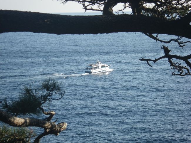 お金持ちのクルーザーが釣りに出かけるのかな？