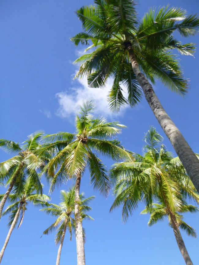 ９時半頃。<br />旅行中、このときが一番の晴天！！<br /><br />「まさに南国！これぞパラオ！最高〜！」