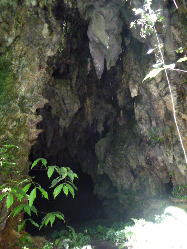 （上陸して見学）<br />うっそうとしたジャングルを歩き、太平洋戦争のときに旧日本軍が生活していた洞窟に到着。懐中電灯を手に洞窟の奥へと進む。洞窟では、当時使用していたドラム缶、食器、銃弾、台所、逃げるためや戦闘のために使用した穴、鍾乳石などを見学。真っ暗、無数のコウモリ、滴り落ちてくる水、戦争の跡、重々しい雰囲気に観光気分で訪れてはいけないと思った。ガイドさんの説明が英語で、内容をあまり理解できなかったのが惜しい。