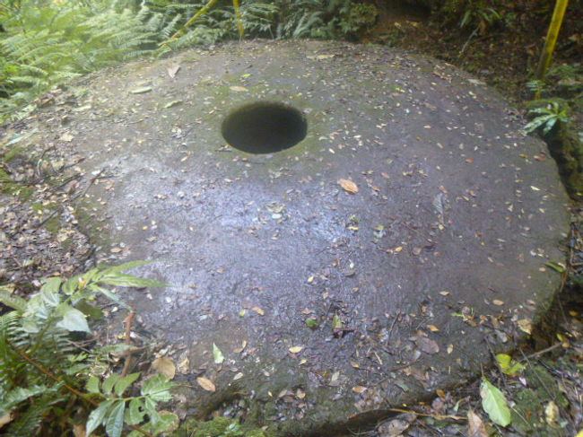 （上陸して見学）<br />ジャングルの中を少し歩くと、ストーンマネーに到着。ストーンマネーが白い結晶石灰岩であることを削って見せてくれた。