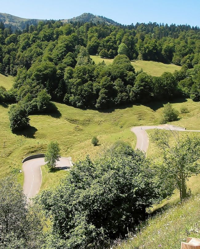 　D 44号線<br /><br />　九十九折の坂道を登ってくる自転車が有ります。<br /><br />　厳しい坂道ですけど、かなりな数のサイクリストが走ってます、人気のコースなのですね。