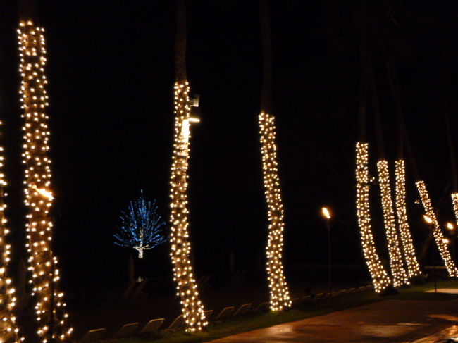 【５日目】<br />深夜１時半頃、パラオパシフィックリゾートをチェックアウト。<br />ヤシの葉っぱで作られた鳥の民芸品とドリンクサービスをいただく。<br />最後に、ビーチで星空を眺め、パラオの空気を深呼吸。<br /><br />「また来るよー！」