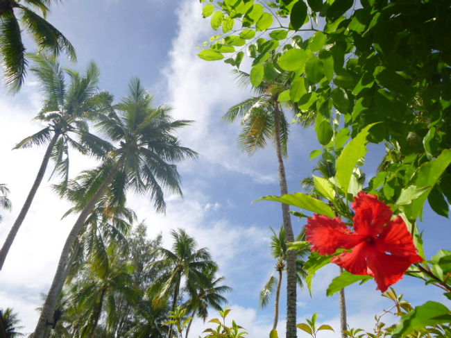 午後も、ビーチ、プール、温水ジャグジーをたっぷり楽しむ。<br /><br />「温水ジャグジー、癒される〜。」