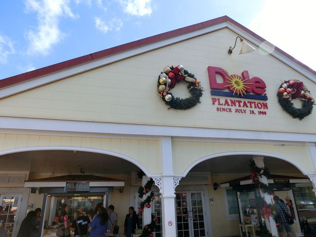 オプショナルツアー出発です。<br />ドールプランテーション→ワイメアビーチ（亀さん）→ノースショア（ハレイワタウン）→ソープファクトリー→ワイケレアウトレットの順です。９時発で戻りは１７時頃。<br /><br />４組を乗せて出発しました。ガイドさん、優しいしいろいろ教えてくれました。<br /><br />「ジッパーレーン」って知ってますか？フリーウェイの渋滞緩和のためのものです。写真撮り忘れましたので、みなさん調べてみてくださいね。<br /><br />では、まずは、ドールプランテーションに到着です。