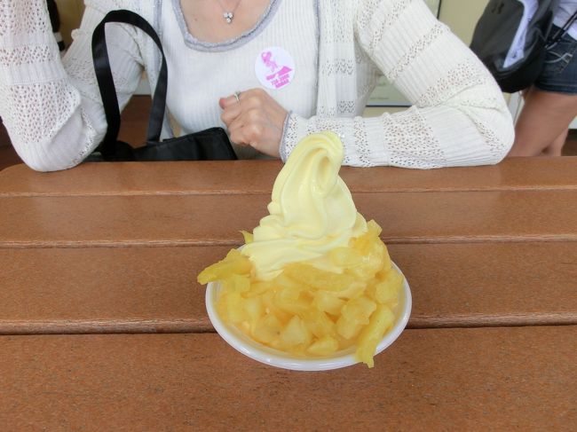 日本人だけではなく、多くの観光客の方で賑わっていました。<br /><br />建物の中は、びっしりとDoleのお土産屋さん。<br /><br />その一番奥に、お目当てのアイスがありました。<br /><br />もちろん、定番のパイナップルアイスです。<br />が･･･しかし、パイナップルの上にアイス、ではなくアイスの周りにパイナップルをくっつけて「はい」って。ありゃりゃ。<br /><br />でも、おいしかったです。さすがDoleです。