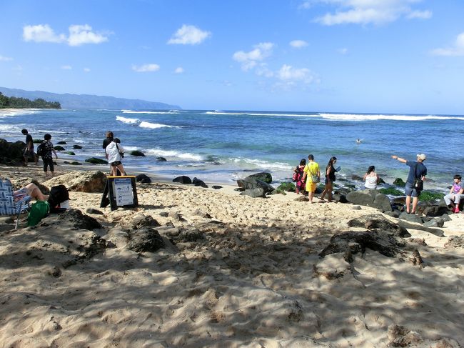 亀（ホヌ）に出会えるワイメアビーチです。<br /><br />砂浜というよりは、岩場が多いです。<br /><br />晴天で暑いくらい。